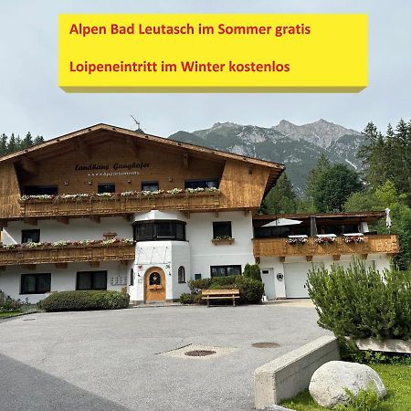 Appartement W6 Haus Ganghofer à Leutasch Extérieur photo